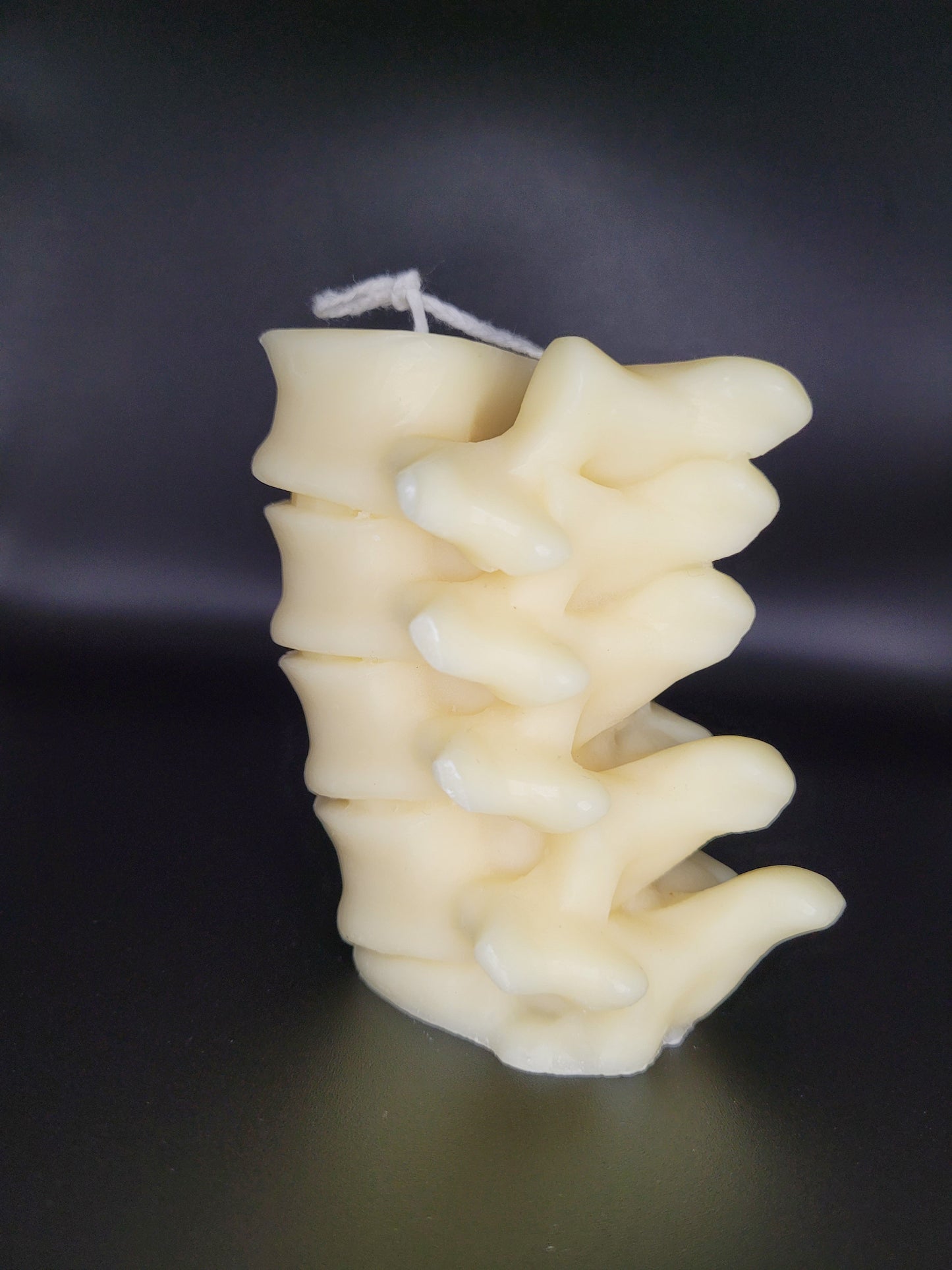 Spine Candle