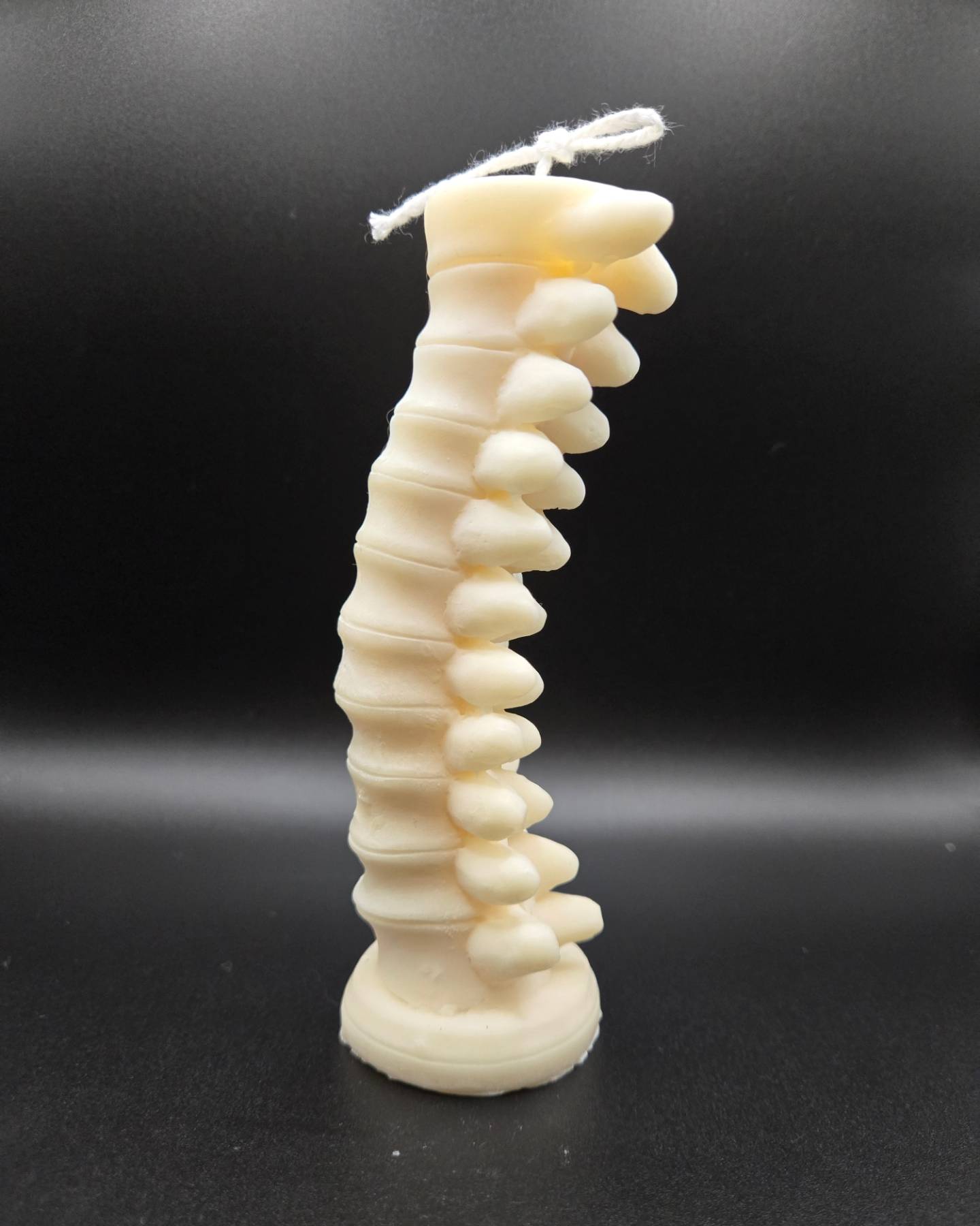 Tall Spine Candle