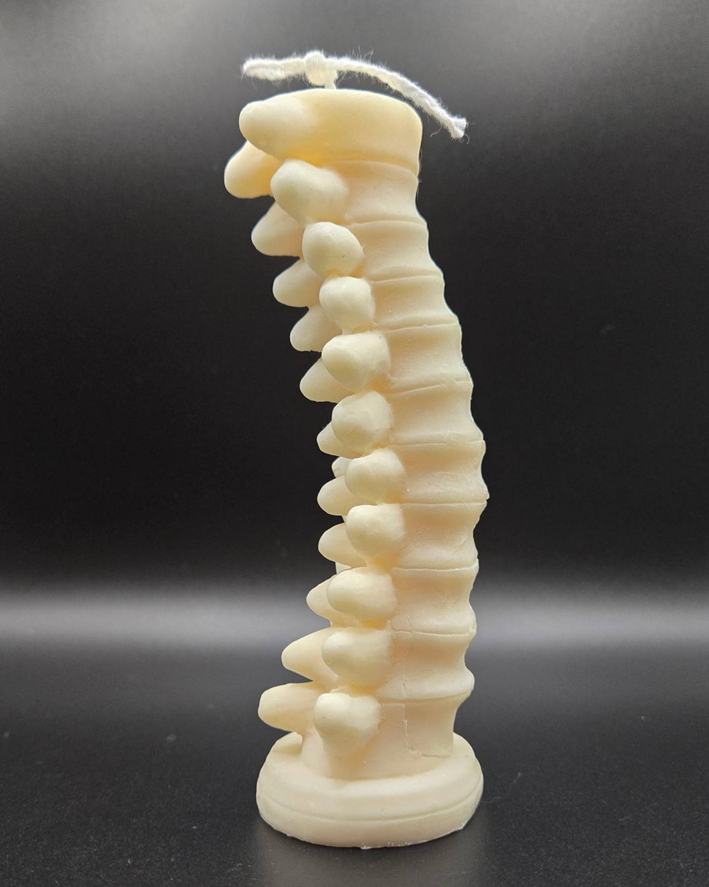 Tall Spine Candle