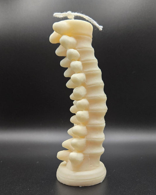 Tall Spine Candle